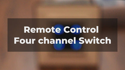 DeWire Home Automation Remote Controlled Switches (Fan Regulator & 1 Light + Four Channel Switch)